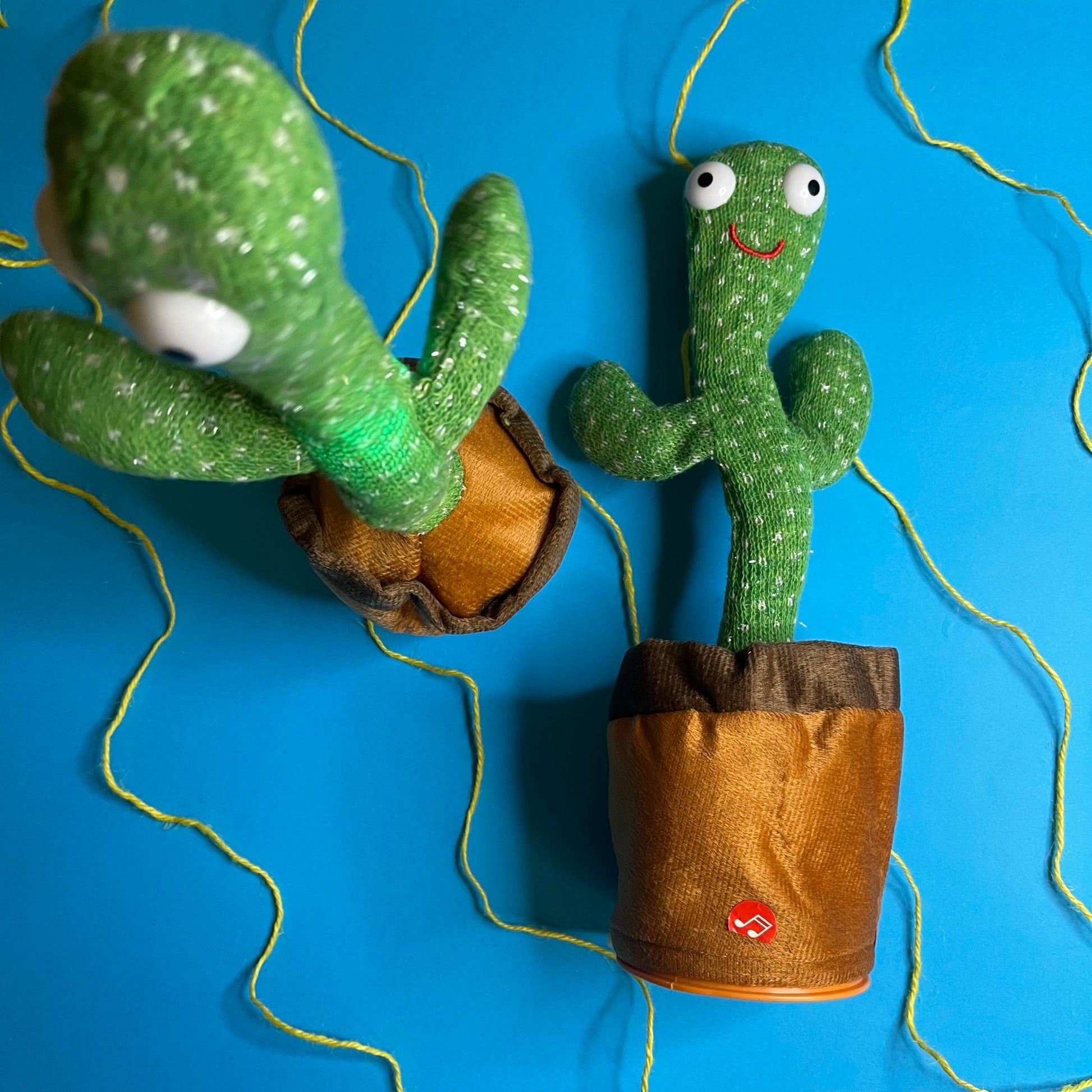 Cactus Game for Kids