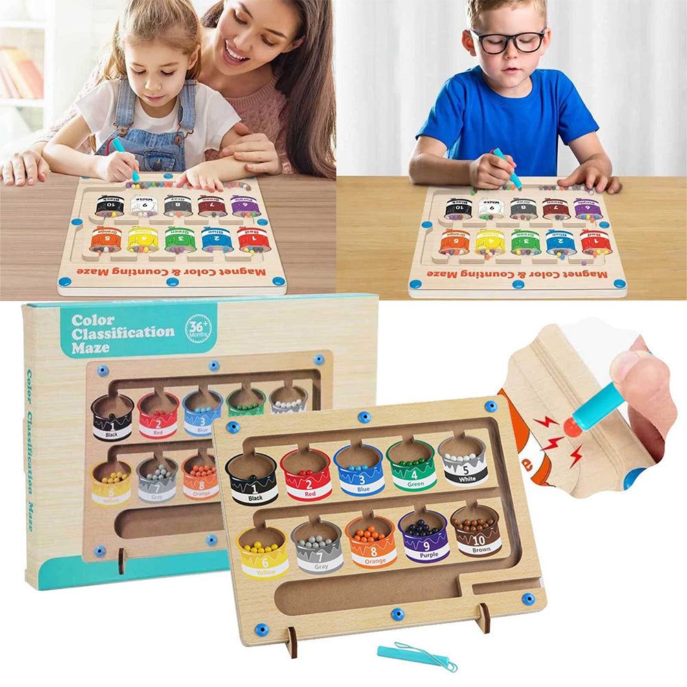 Magnetic Color Classification Maze Learning Board